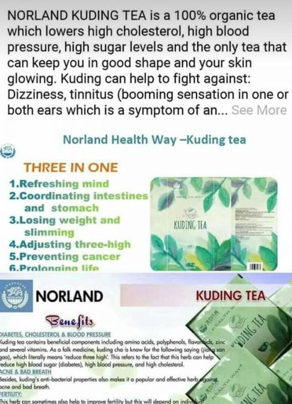 Komback Organic Norland Kuding Tea For Sale