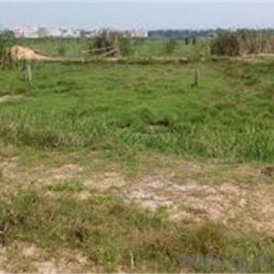 Plots Of Land For Sale In Lekki Nigeria